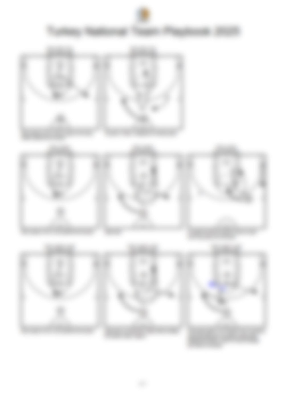 Turkey National Team Playbook 2025