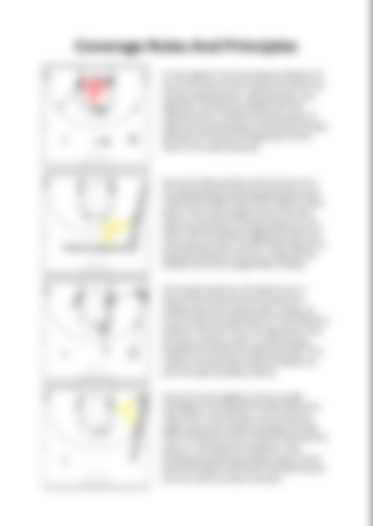 Complete 1-3-1 Zone Defense Guide V2.0