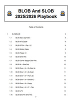BLOB And SLOB 2025/2026 Playbook
