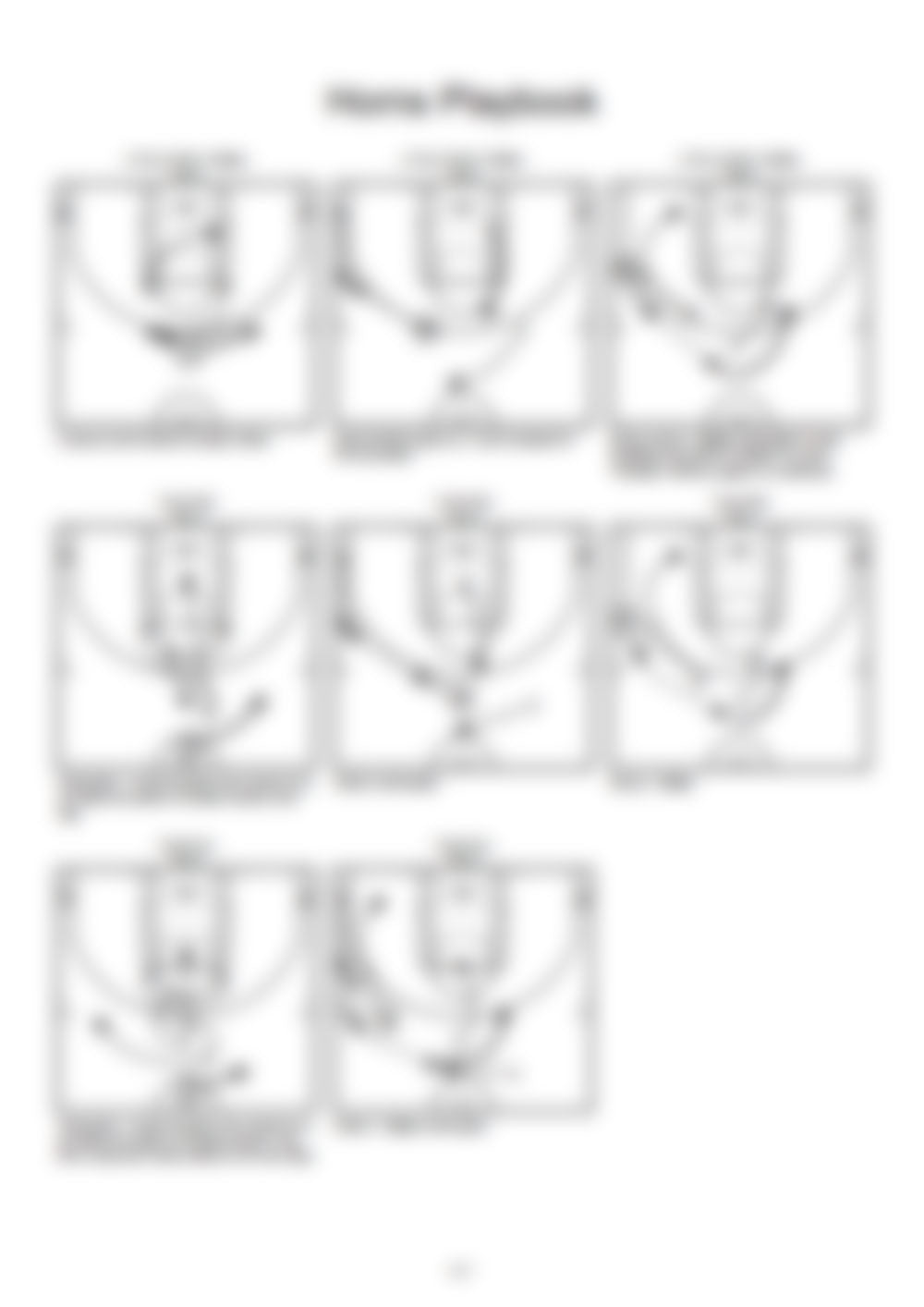 Complete Horns Offense Playbook - Hoop Mentality