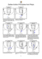 Dallas Action Principles And Plays - Hoop Mentality