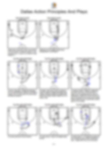 Dallas Action Principles And Plays