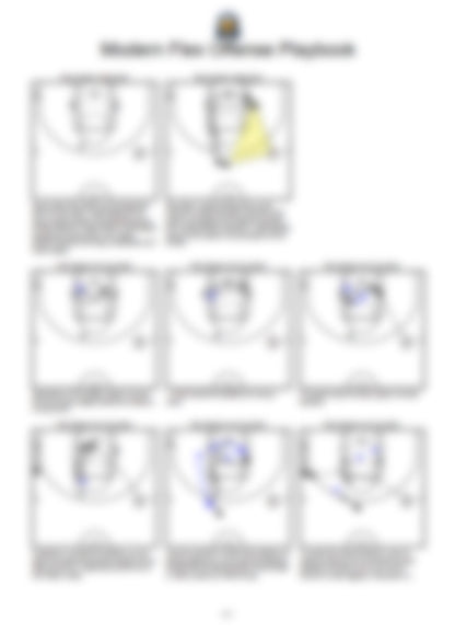 Modern Flex Offense Playbook