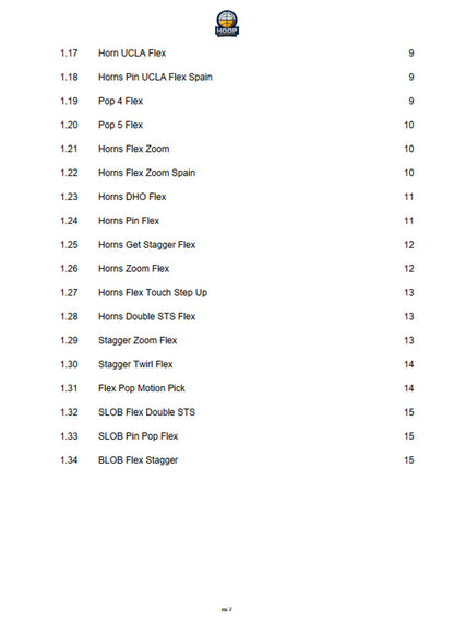 Modern Flex Offense Playbook